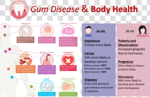 Periodontitis And Body   Periodontal Disease Body Health  HD Png Download