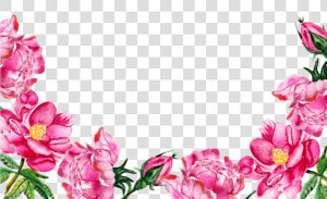 Pink Flowers Bottom Clipart   Png Download   Flower Border Pink Transparent  Png Download