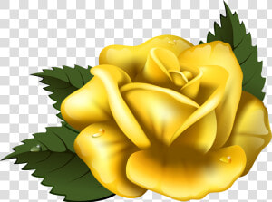 Large Yellow Rose Transparent Png Clip Art Image   Clip Art Yellow Rose Png  Png Download