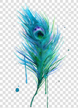 Asiatic Peafowl Feather Bird Clip Art   Watercolor Peacock Feather Painting  HD Png Download