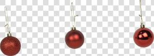 Transparent Bola De Natal Png   Bola De Pinheiro Png  Png Download