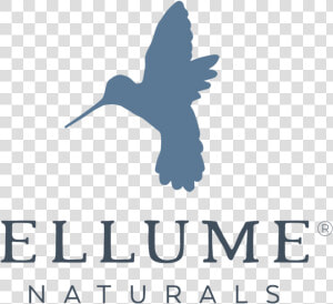 Ellume Naturals Logo Registered Symbol Copy  HD Png Download