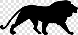 Lion Silhouette   Lion Silhouette Png  Transparent Png