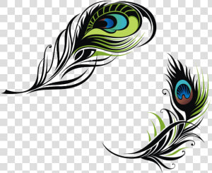 Bird Feather Peafowl Euclidean Vector   Vector Peacock Feather Png  Transparent Png