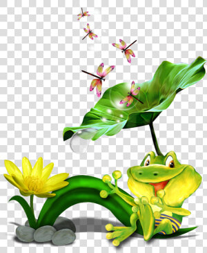 Frog Clipart   Png Download   Bullfrog On A Lily Pad Drawing  Transparent Png