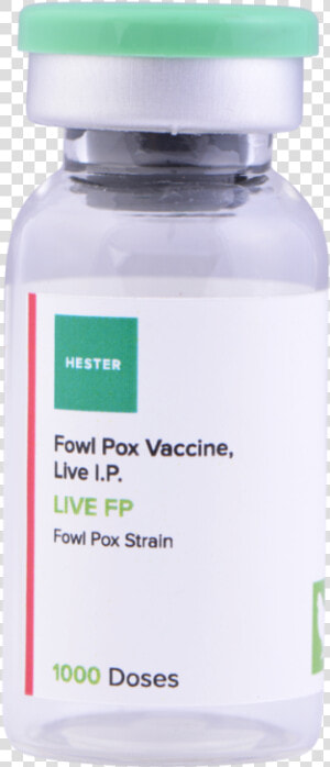 Live Fp 1000   Vaccine Bottle Png Transparent  Png Download