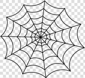 White line leaf spider Web symmetry line Art black   Spider Web For Coloring  HD Png Download