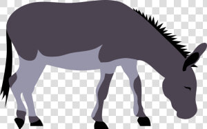 Transparent Democratic Donkey Png   Clipart Donkey Pictures Big  Png Download