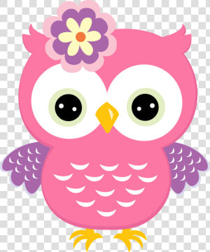 Owl Babies Owls Holi Baby Bird Clipart   Pink Owls  HD Png Download