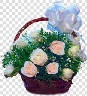 24 White Roses Basket   Garden Roses  HD Png Download