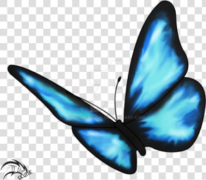 Life Is Strange Butterfly Effect Drawing Insect   Butterfly Drawing Life Is Strange  HD Png Download