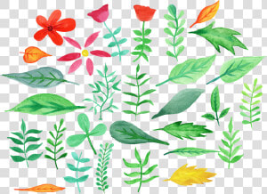 Descargar Flores Acuarela   Flores En Acuarela Png  Transparent Png