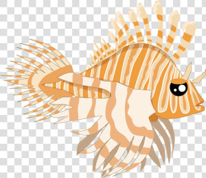 Lionfish   Illustration  HD Png Download