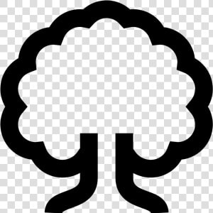 Deciduous Tree Icon   Transparent Tree Icon Png  Png Download