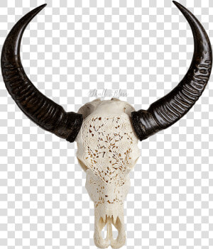 Decorative Skull Head Cow   Png Download   Transparent Buffalo Skull Png  Png Download