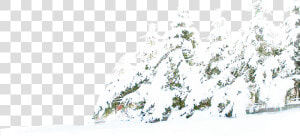 Tree Winter Pine Snow Free Download Png Hd Clipart   Transparent Background Winter Snow Snow Png  Png Download