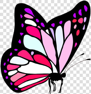 Butterfly  Pink  Cute  Girl  Feminine  Nature  Insect  HD Png Download