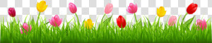 Grass Clipart Spring Grass   Tulips Clip Art  HD Png Download