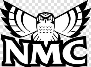 Nmc Hawk Owl  HD Png Download