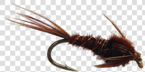 Artificial Fly Pheasant Tail Nymph Fly Fishing Fly   Artificial Fly  HD Png Download