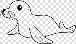 Seal  Cute  Mammal  Wildlife  Adorable  Marine  Aquatic   Seal Images Black And White  HD Png Download