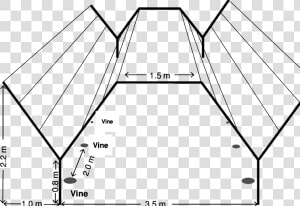 Y Trellis System In Grapes  HD Png Download