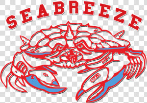 Seafood Clipart Sand Crab   Seabreeze High School Sandcrabs  HD Png Download