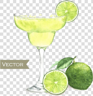 Watercolor Margarita Png   Margarita Drawing  Transparent Png