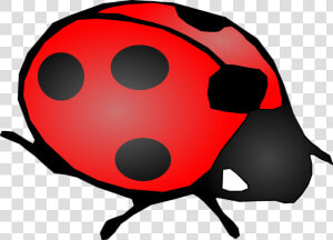 Lady Bug Svg Clip Arts   Lady Bug  HD Png Download