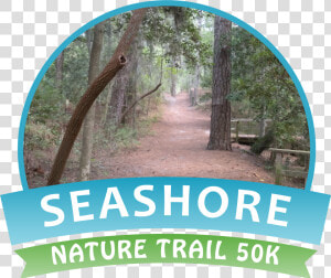 Seashore Nature Trail 50k  HD Png Download