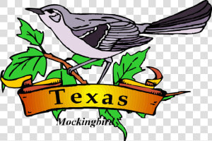 Transparent Mockingbird Clipart   Printable Texas State Bird  HD Png Download