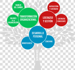 Silvio Raij Árbol De Servicios   Arbol De Valores Png  Transparent Png