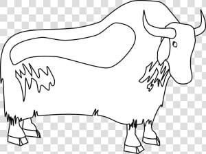 Free Vector Graphic   Yak Clipart Black And White Png  Transparent Png