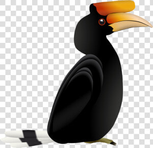 Hornbill  HD Png Download