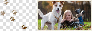 A Dog Enjoying Our Dog And Cat Boarding Services In   Dog  HD Png Download