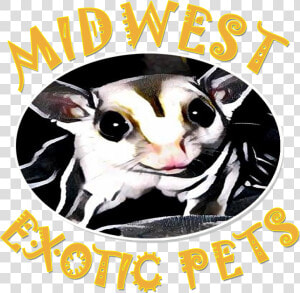 Clip Art Royalty Free Welcome To Midwest Pets   Poster  HD Png Download