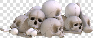 Download Pile Of Skulls Png Image   Pile Of Skulls Png  Transparent Png