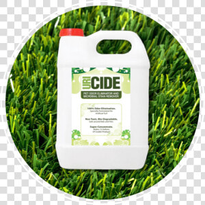 Uri cide   Lawn  HD Png Download