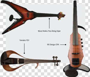 Types Of Violins  HD Png Download