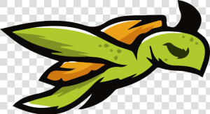 Turtle Squad   Turtle Esport Logo Png  Transparent Png