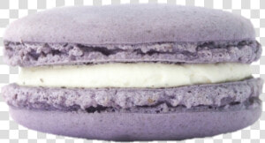  macaron  macarons  macaroon  macaroons  nichememe   Purple Niche Meme Pngs  Transparent Png