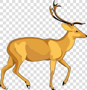 Deer Vector Png Transparent Image   Deer Vector Png  Png Download