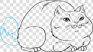 How To Draw Fat Cat   Draw A Fat Cat  HD Png Download