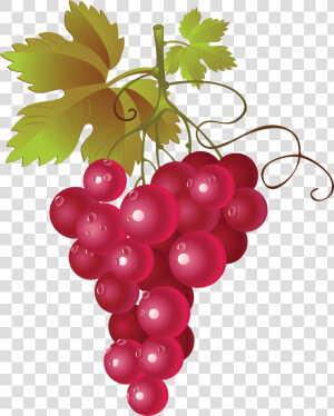 Pictures Of Red Grapes   Red Grapes Png Clipart  Transparent Png