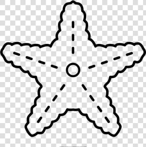 Starfish Coloring Page   Estrella De Mar Png Colorear  Transparent Png