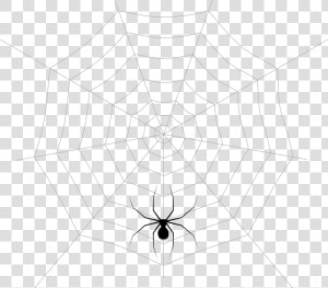 Spider Web Pattern Symmetry Point Angle  HD Png Download