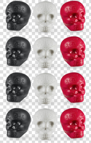 Lp Sugar Skull Shakers 12pk Display Box  HD Png Download