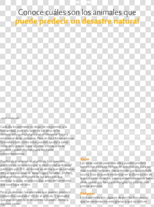 Document  HD Png Download