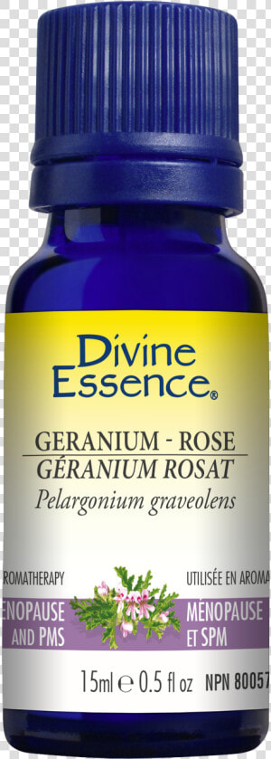 Rose Essential Oil   Divine Essence Eucalyptus Radiata  HD Png Download