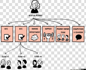 Typical Less Huge Organizational Structure  Png   Product Owner Team Structure  Transparent Png